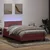 Vidaxl Box spring postelja z vzmetnico LED Pink 120x220 cm Velvet