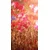 Fototapeta mak v objemu sonca - 147x270