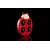 Bajo Ladybug ugriz rdeča