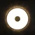 Brilliant - LED plafonsko svetlo TAVIS LED/24W/230V pr. 44,5 cm crna