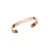 Zapestnica Daniel Wellington