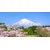 Slika gora Fuji - 80x40