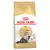 Royal Canin Breed Nutrition Persijska Mačka - 4 kg