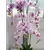 Orhideja u posudi, pink 160 cm