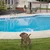 Aberto Design Dekorativna figura Amicable 01, 40x33 cm, 1.5 mm