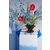 Cooler Byon Messy