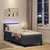 LED Box Spring Postelja Temno siva 80 x 200 cm Žamet