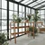 Hanah Home radni sto CPT4632-125, 125 cm, tikovina