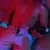 HANNES NEO Interaktivni masturbator sa efektom pulsiranja i zagrevanja do 38°C