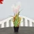 Family Art Gallery Ram za slike model 14, 13x14cm, Crni