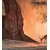 Fototapeta afriška antilopa - 245x270