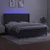 vidaXL Box spring postelja z vzmetnico LED temno siva 180x200 cm žamet