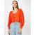 LEVIS Bluza, oranžna