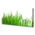 tulup.si Slika na platnu Grass nature rastlin 125x50 cm