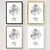 Wallity Poster France Metz-2073, 42x59,4 cm