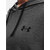 UNDER ARMOUR Rival Terry Gradient Hoodie