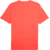 Puma Dres teamFINAL Graphic