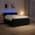 vidaXL Postelja boxspring z vzmetnico Črna 200 x 200 cm Blago