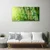 tulup.si Steklena slika Bamboo stebla rastlin 100x50 cm 4 obešalnika