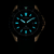 Citizen Eco-Drive BN0196-01L