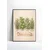 Plakat 21x30 cm za kuhinjo Herbes de Cuisine starinska zelišča A4