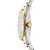 DKNY DK1L016M0085 Chambers Midi Two Tone