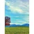 Fototapeta panorama gor - 196x270