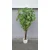 Lilium stablo lipa 170 cm 877031