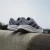 Adidas Muške patike Galaxy 7 M, ID8754, Sive