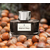 FC GV Mastilo za naliv pero HAZELNUT BROWN 75ml