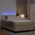 Vidaxl LED Box Spring Postelja Svetlo siva in bela. 120 x 190 cm