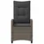 Vrtna stolica 2 pcs Siva i tamno siva 56 x 60 x 112 cm