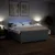 vidaXL Box spring postelja z vzmetnico temno siva 180x200 cm blago