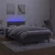 Vidaxl Box spring postelja z vzmetnico LED temno siva 120x200 cm žamet