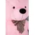 shumee Teddy Classico 50cm - roza