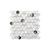 Hexagono white