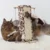 PET COMFORT Grebalica za mačke Panter 30 x 21 x 20 cm