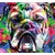 Tapeta pop-art buldog - 294x270