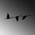 Opviq Set zidnih dekoracija Migrant Birds-291,, 1 mm, 3 komada, Crna