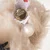 STEIFF LED Marilyn Monroe Teddy bear 100th Anniversary zbirateljski predmet