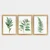 Wallity Set uramljenih slika 3AC_501923, 3 Dela