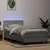 Box Spring krevet s madracem i LED svijetlo sivi 80x210 cm baršun