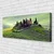 tulup.si Slika na platnu Drevo travnik narava 120x60 cm