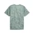PUMA Train All Day Essentials Printed Tee Men, Performance, Créme De Mint, 4XL