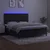 Vidaxl Box spring postelja z vzmetnico LED črna 160x200 cm žamet