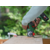Bosch Akumulatorska NanoBlade testera UniCut 18V-65