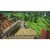 SWITCH Dragon Quest Builders