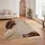 Conceptum Hypnose tepih HM-CRP25-29, pravougaoni, 120 x 180 cm, krem-braon