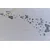 Kuhinjska krpa print Butterflies 45x70cm 3178