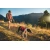 Ruffwear Oprsnica Web Master™ - Red Canyon